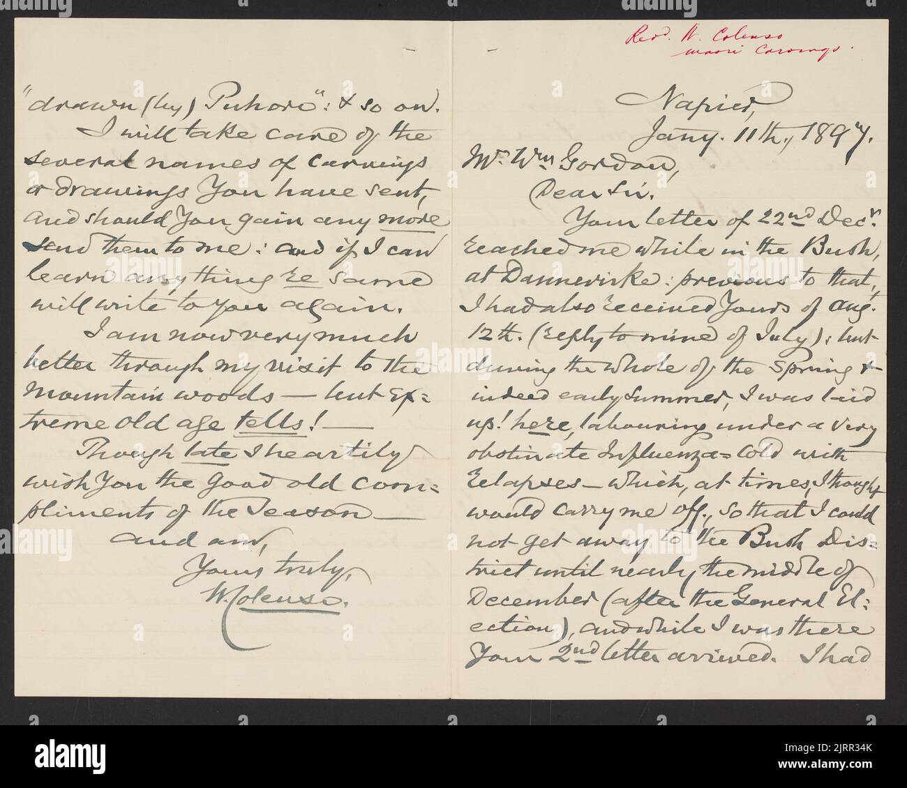 Lettre à W.F. Gordon re sculptures maoris, 11 janvier 1897, par le révérend William Colenso. Banque D'Images