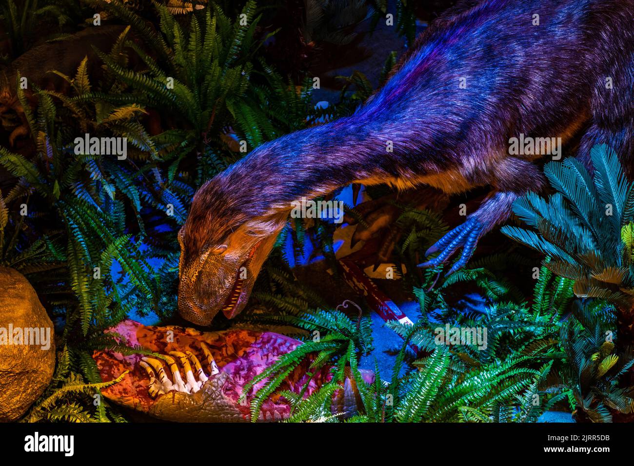 Exposition Dino Quest à Suntec City, Singapour. Banque D'Images
