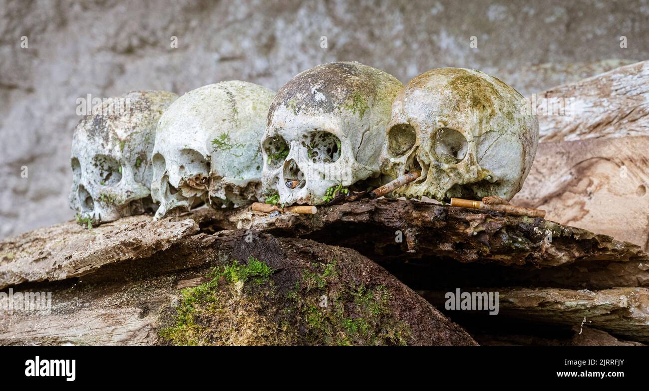 Java, Indonésie, 13 juin 2022 - les cercueils suspendus étaient communs à Toraja il y a plusieurs centaines d'années. Des crânes ont été laissés pour protéger les cercueils des grottes de Lonsa Burial. Banque D'Images