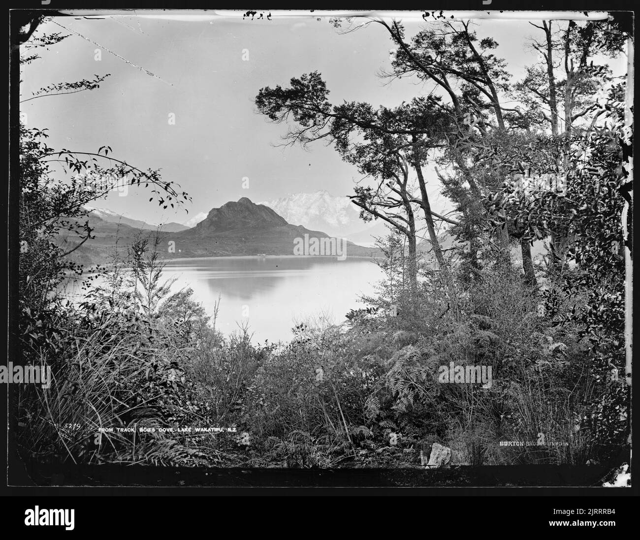 De Track, Bob's Cove, lac Wakatipu, Nouvelle-Zélande, 1878-1880, Clutha-Central Otago, par William Hart, Hart, Campbell & Co Banque D'Images
