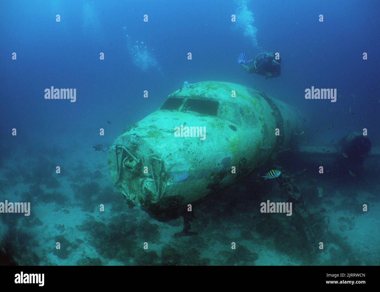 Une vue de plongée humaine sur l'ancien avion en bas de la mer Banque D'Images Une vue de plongée humaine sur l'ancien avion en bas de la mer Banque D'Images