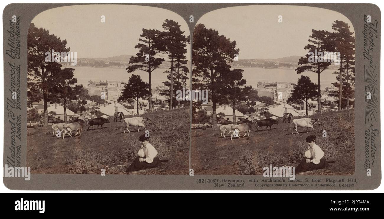 Devonport et port d'Auckland depuis Flagstaff Hill, 1908, Devonport, fabricant inconnu. Banque D'Images