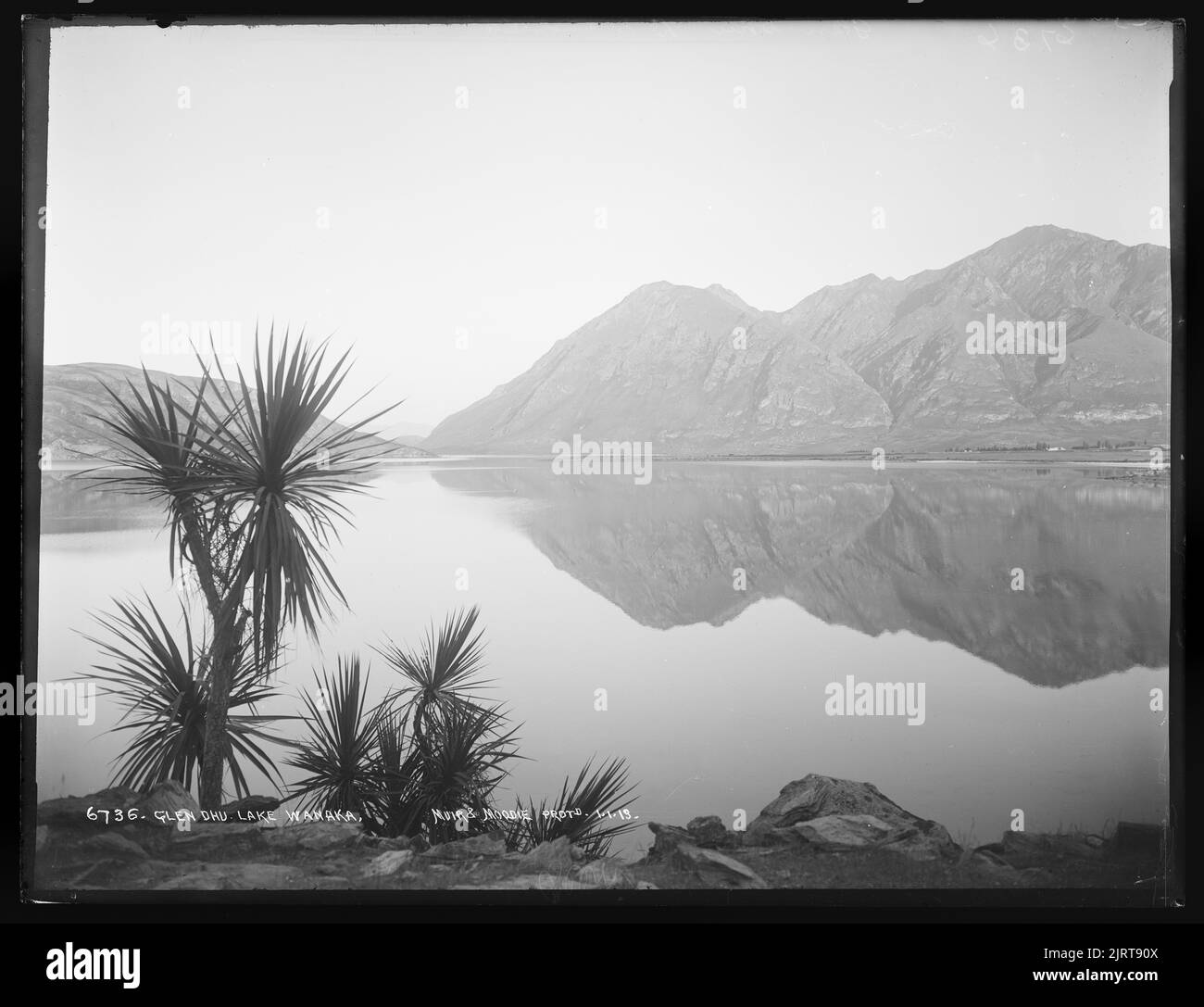 Glendhu, lac Wanaka, Nouvelle-Zélande, par Muir & Moodie. Banque D'Images