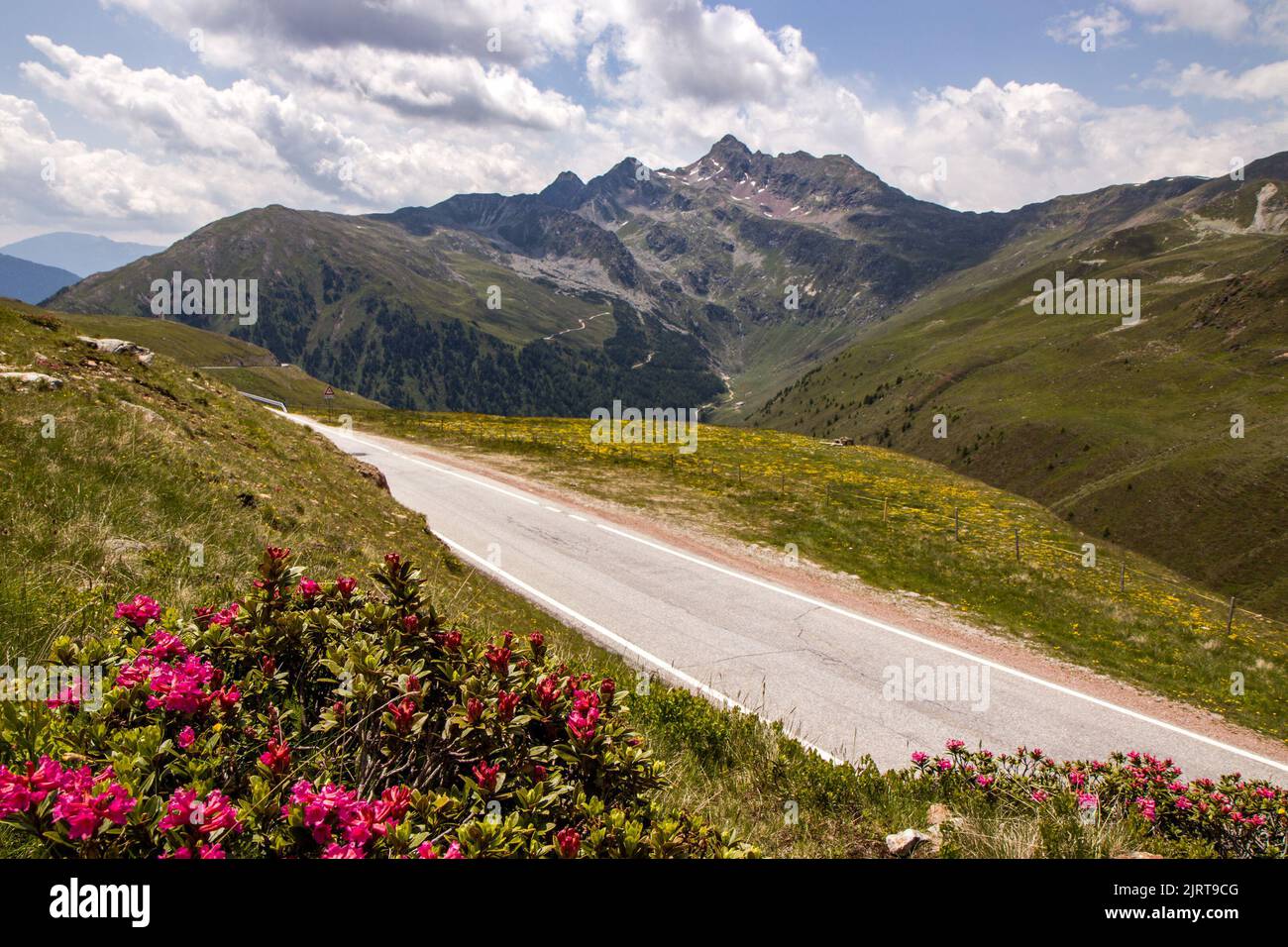 La belle vue de Pennes Pass Passo Pennes, Italie Banque D'Images