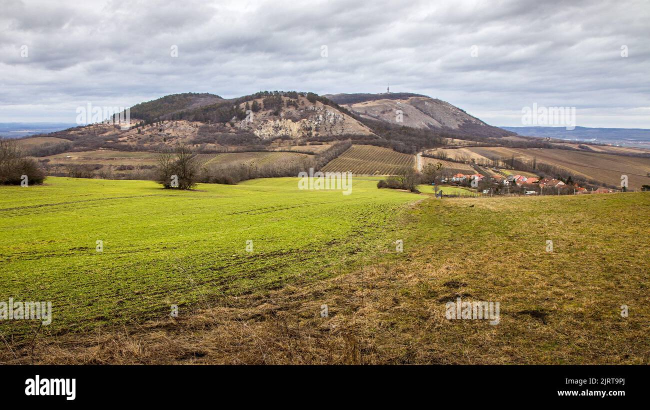 Belle vue d'automne de Palava / Devin, République tchèque - région de Moravie du Sud région viticole. Banque D'Images