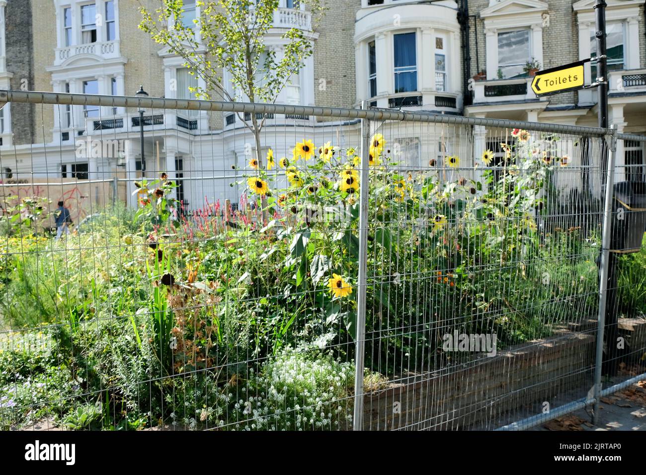 Londres, Royaume-Uni. 26 août 2022. Haute sécurité par les riches propriétaires de maisons avec des bâtiments et des graffitis en bord de rue avant la colline Notting que la région se prépare pour le carnaval après un écart de deux ans. Crédit : Matthew Chattle/Alamy Live News Banque D'Images