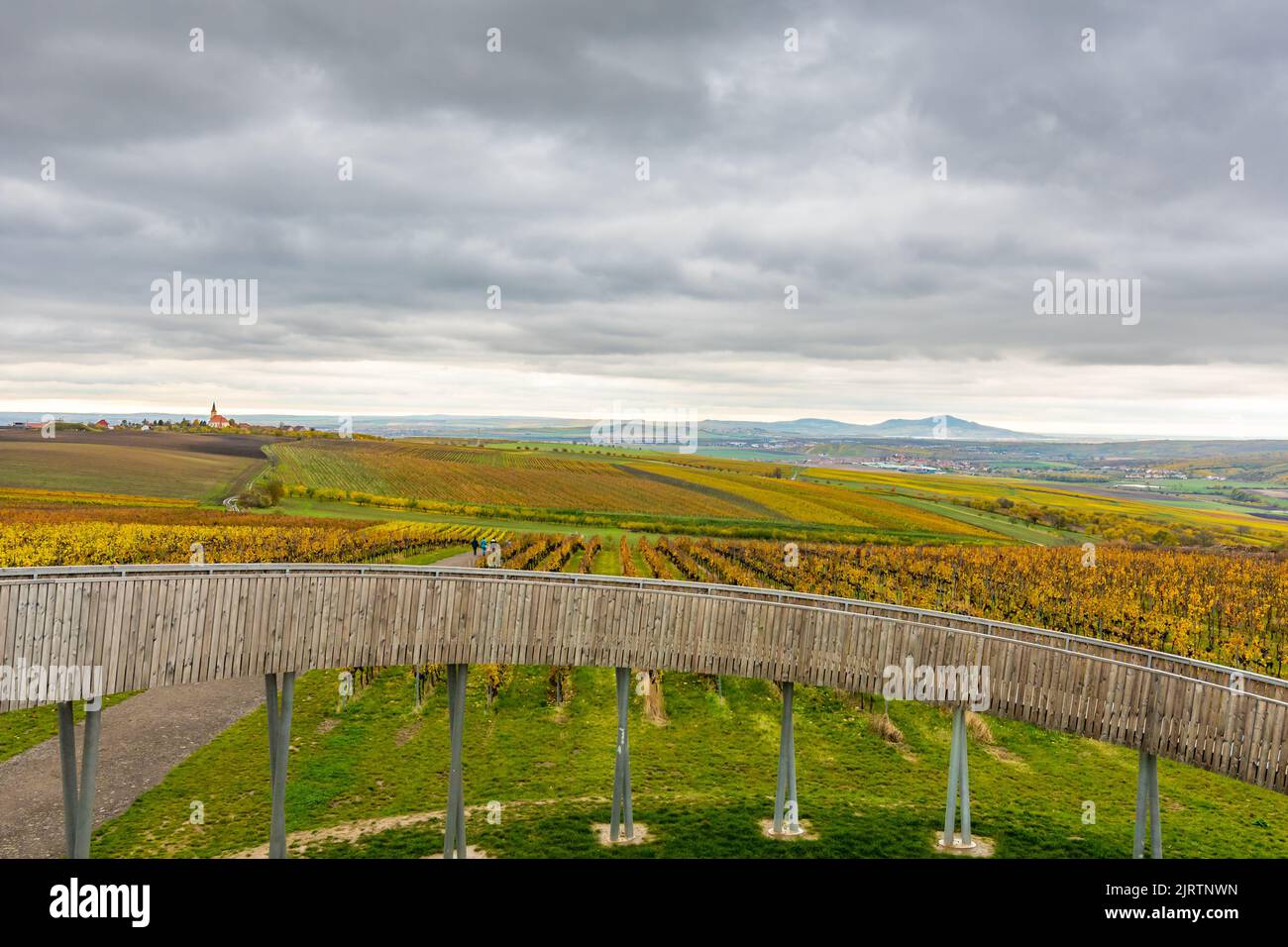 Tour de Lokout à la colline de Kobyli Vrch, région de Moravie du Sud - République tchèque. Construction en spirale en bois près des vignobles et de l'église. Collines de Palava, célèbre wi Banque D'Images