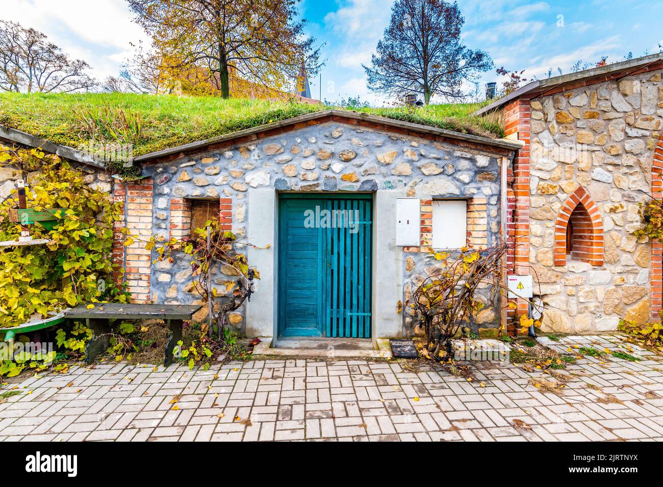 Cave à vin historique traditionnelle du village de Vrbice, région de Moravie du Sud - République tchèque. Petites maisons à vin avec des plantes sur le toit, construit dans le gro Banque D'Images