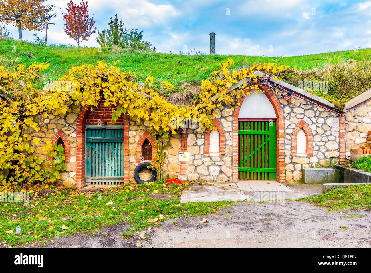 Cave à vin historique traditionnelle du village de Vrbice, région de Moravie du Sud - République tchèque. Petites maisons à vin avec des plantes sur le toit, construit dans le gro Banque D'Images