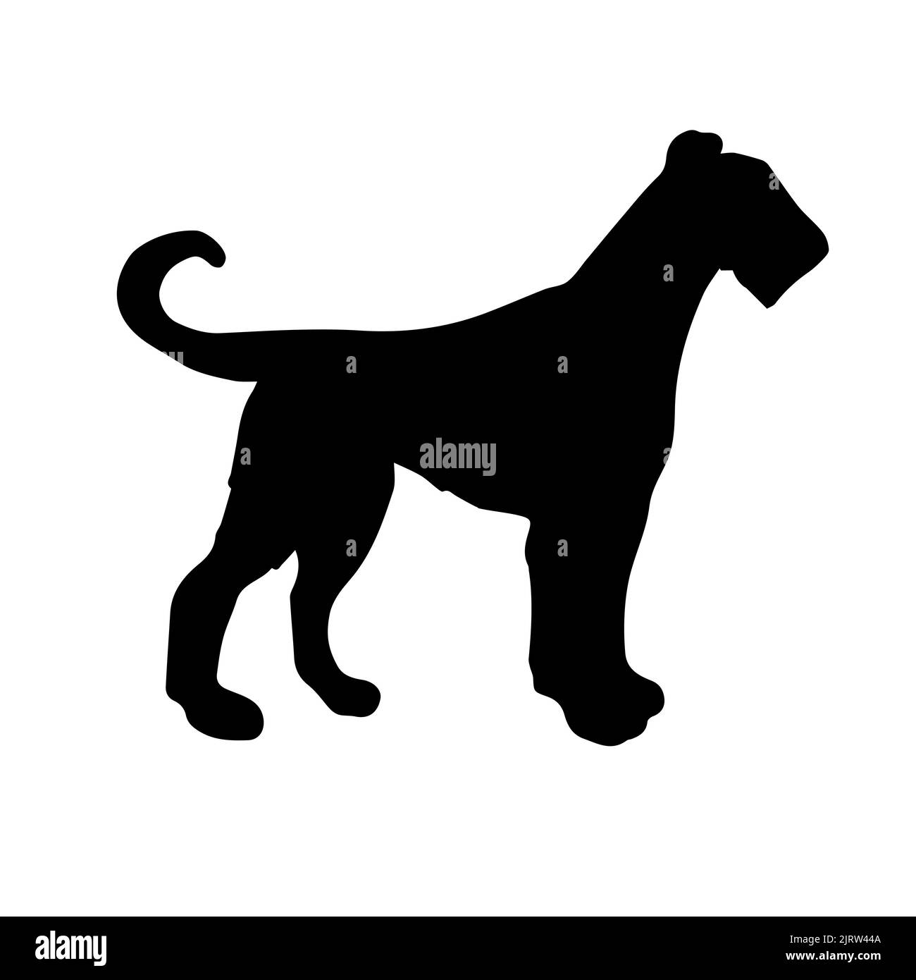 Silhouette de chien terrier gallois dessin à la main Vector isolée sur fond blanc Illustration de Vecteur