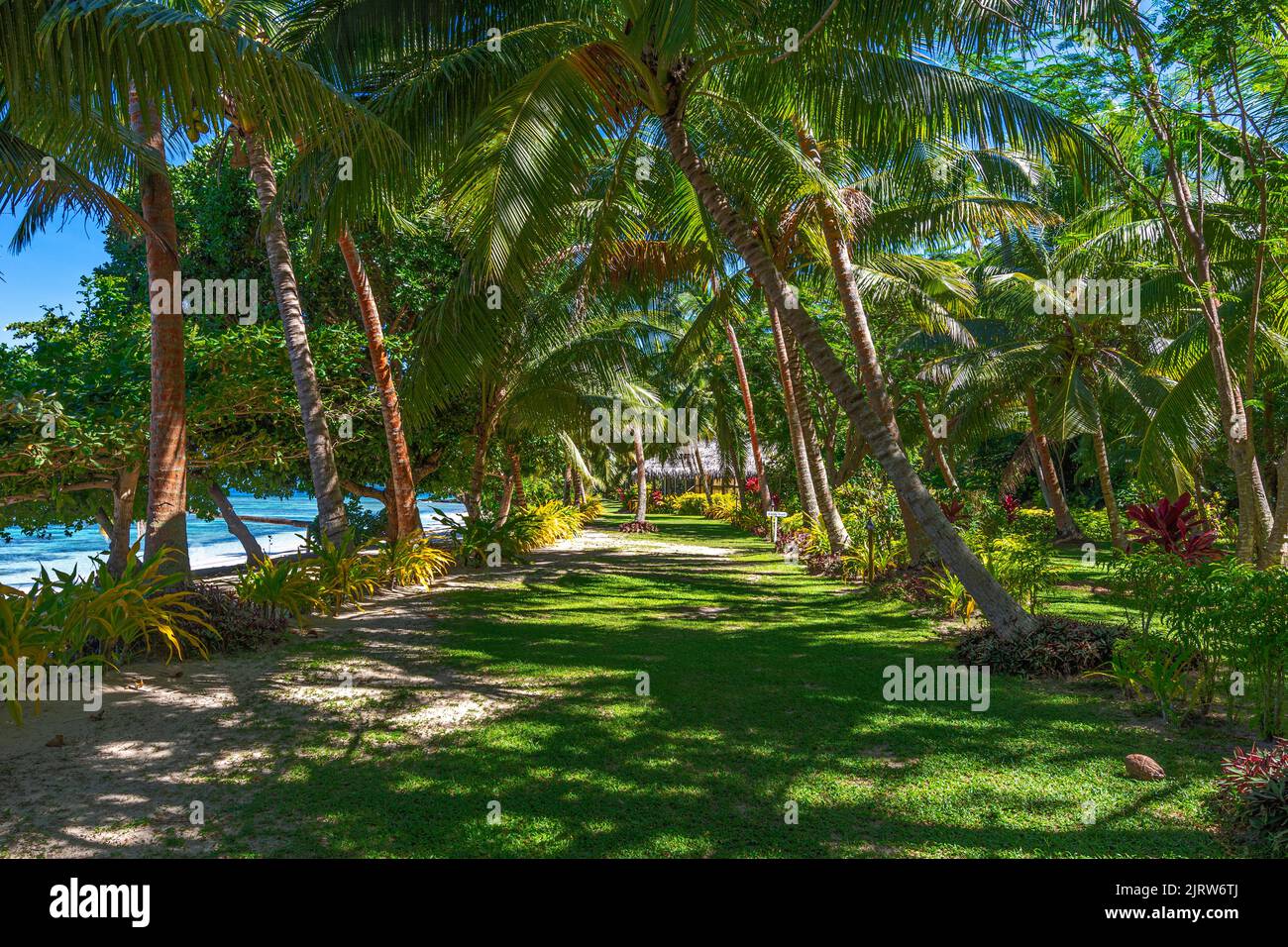 Une vue classique d'un complexe tropical en bord de mer dans le Pacifique sud montrant beaucoup de soleil, l'eau bleue et le ciel vibrant. Banque D'Images