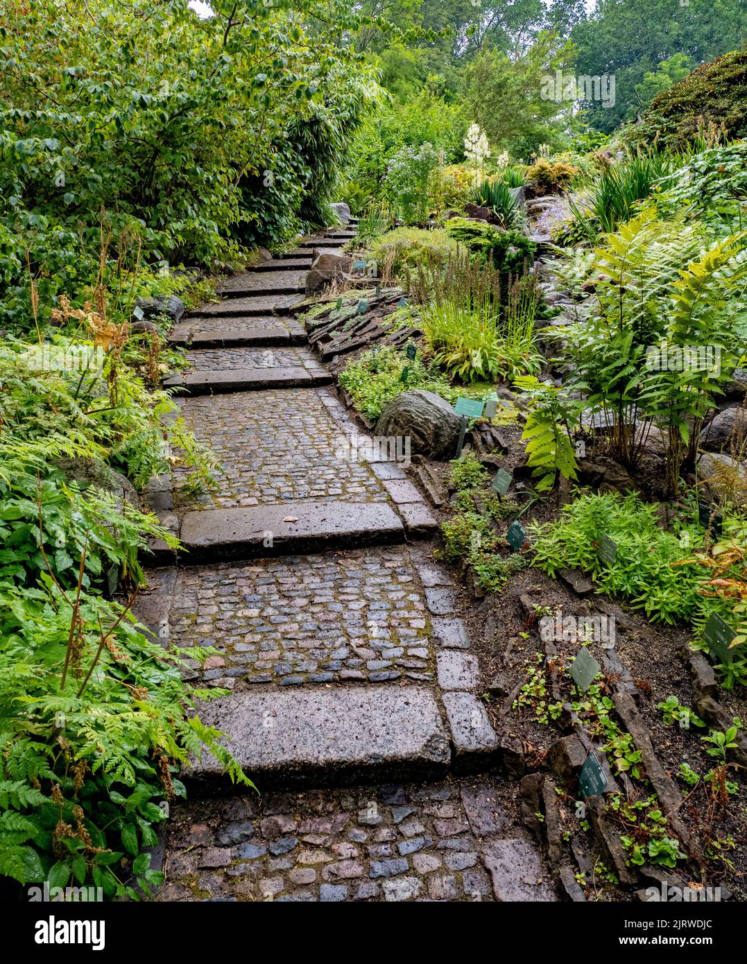 Chemin à travers le jardin de rocaille au jardin botanique de Copenhague le Botanisk ont Danemark Banque D'Images