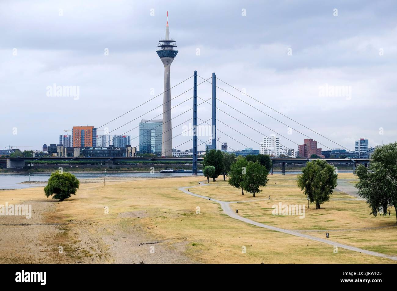 26.08.2022, Düsseldorf, Nordrhein-Westfalen, Deutschland - Blick nach Sueden von der Oberkasseler Brücke auf den Rhein und die Rheinniebruecke ueber Banque D'Images