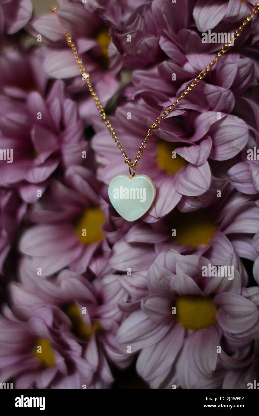 Collier à coeur blanc sur fleurs Banque D'Images