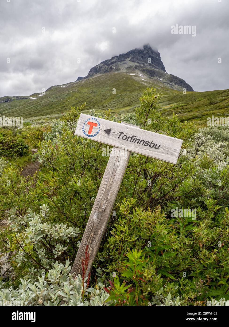 Waymarker sur le sentier entre Bygdin et Torfinnsbu sous Torfinnstinden dans le parc national de Jotunheimen en Norvège Banque D'Images