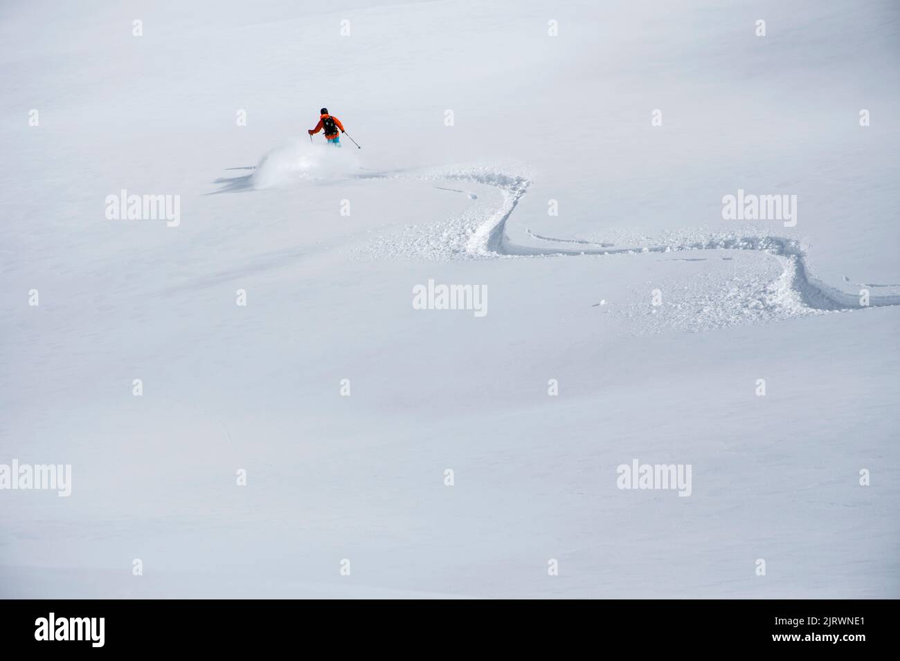 Une seule skieuse débarque par une poudre parfaite Banque D'Images