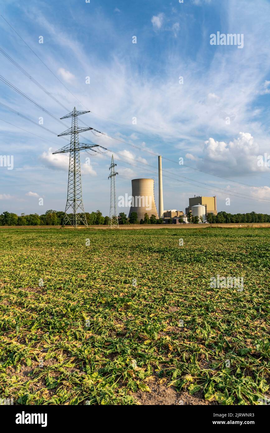 Centrale électrique de Heyden, centrale au charbon qui a été fermée en