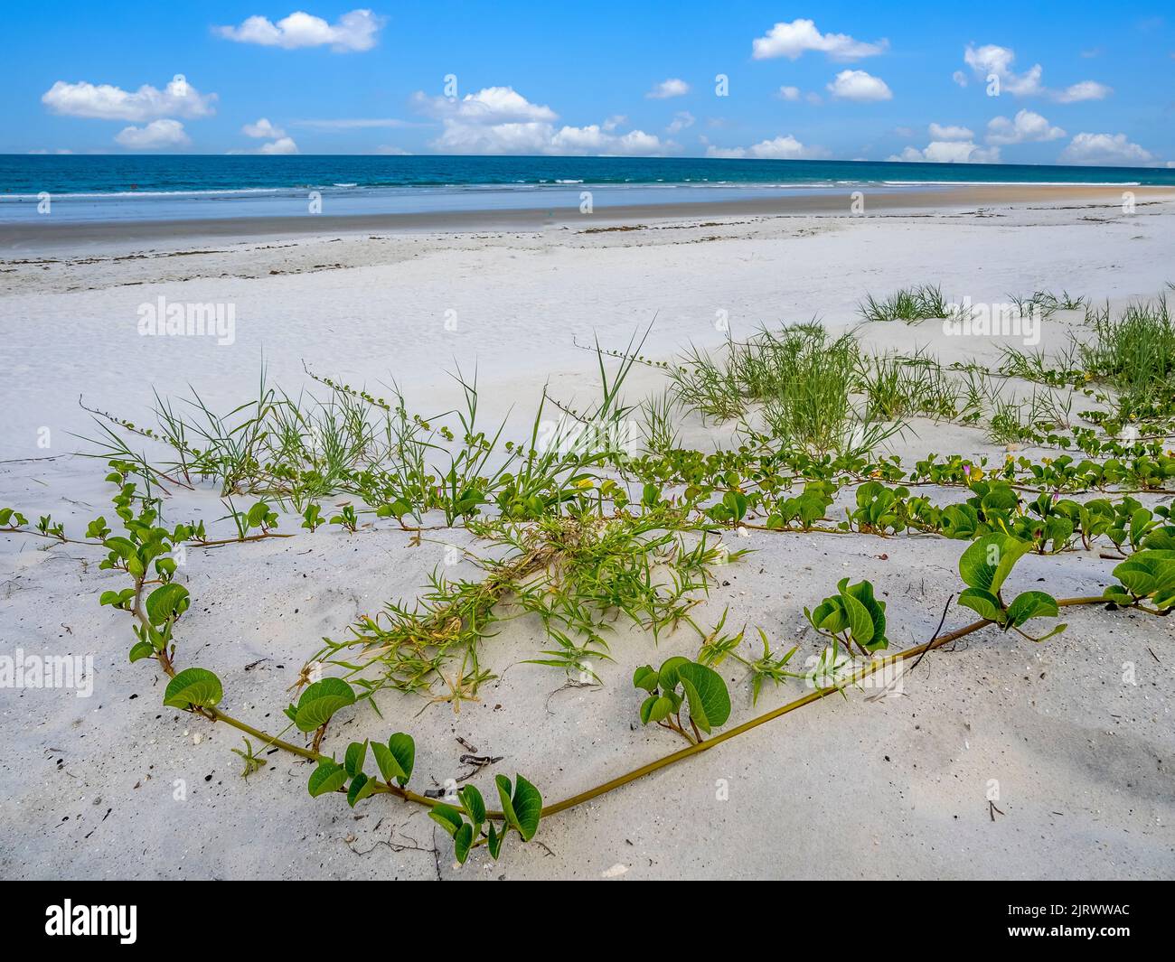 Plage vide de l'océan Atlantique dans le nord-est de la Floride Etats-Unis Banque D'Images