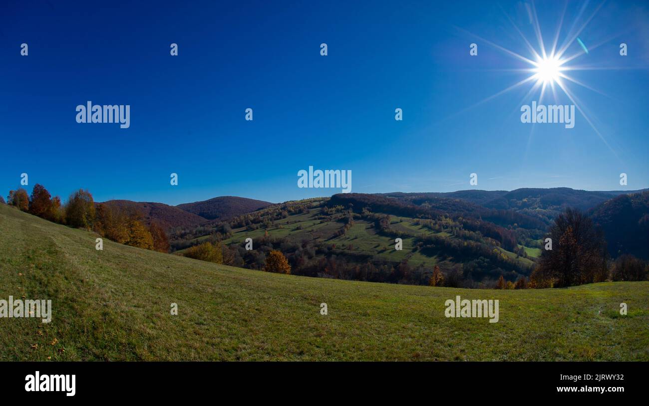 Beau paysage avec un soleil clair de Transylvanie, collines vertes et arbres avec des feuilles vertes et le ciel bleu Banque D'Images