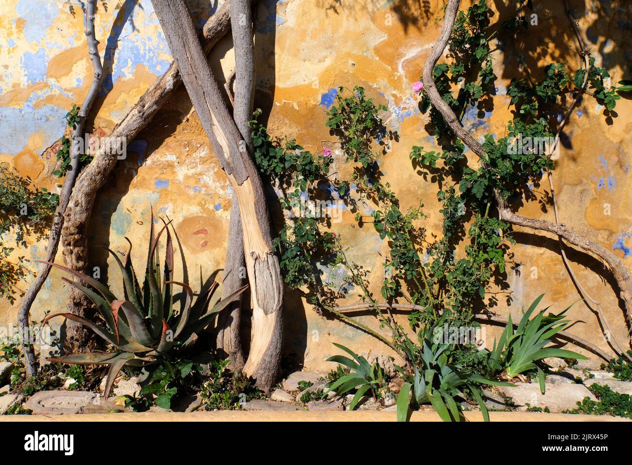 Vieux mur avec des couches de peinture dans la région de Plaka à Athènes, Grèce Banque D'Images