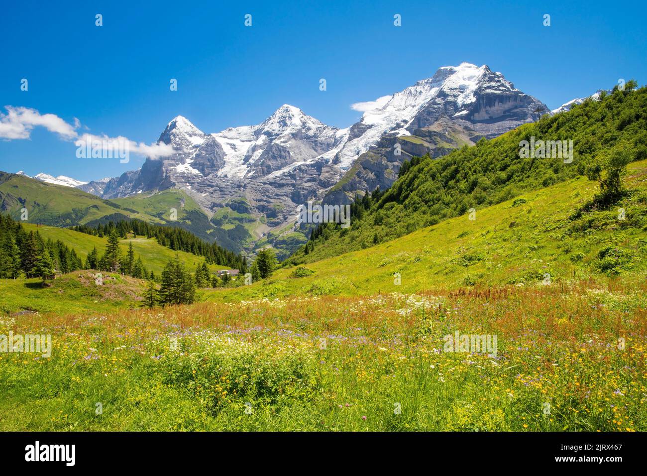 Le panorama des alpes bernoises avec les sommets de la Jungfrau, du Monch et de l'Eiger. Banque D'Images