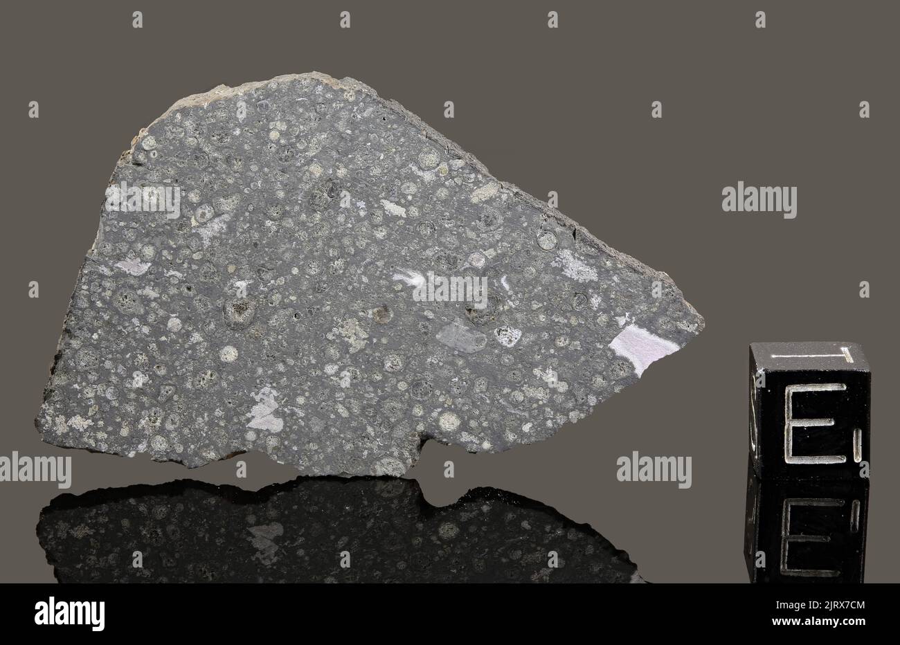 ALLENDE - Automne 8 février 1969, Chihuahua, Mexique. Chondrite carbonée CV3. Masse totale de 2 tonnes. Banque D'Images ALLENDE - Automne 8 février 1969, Chihuahua, Mexique. Chondrite carbonée CV3. Masse totale de 2 tonnes. Banque D'Images