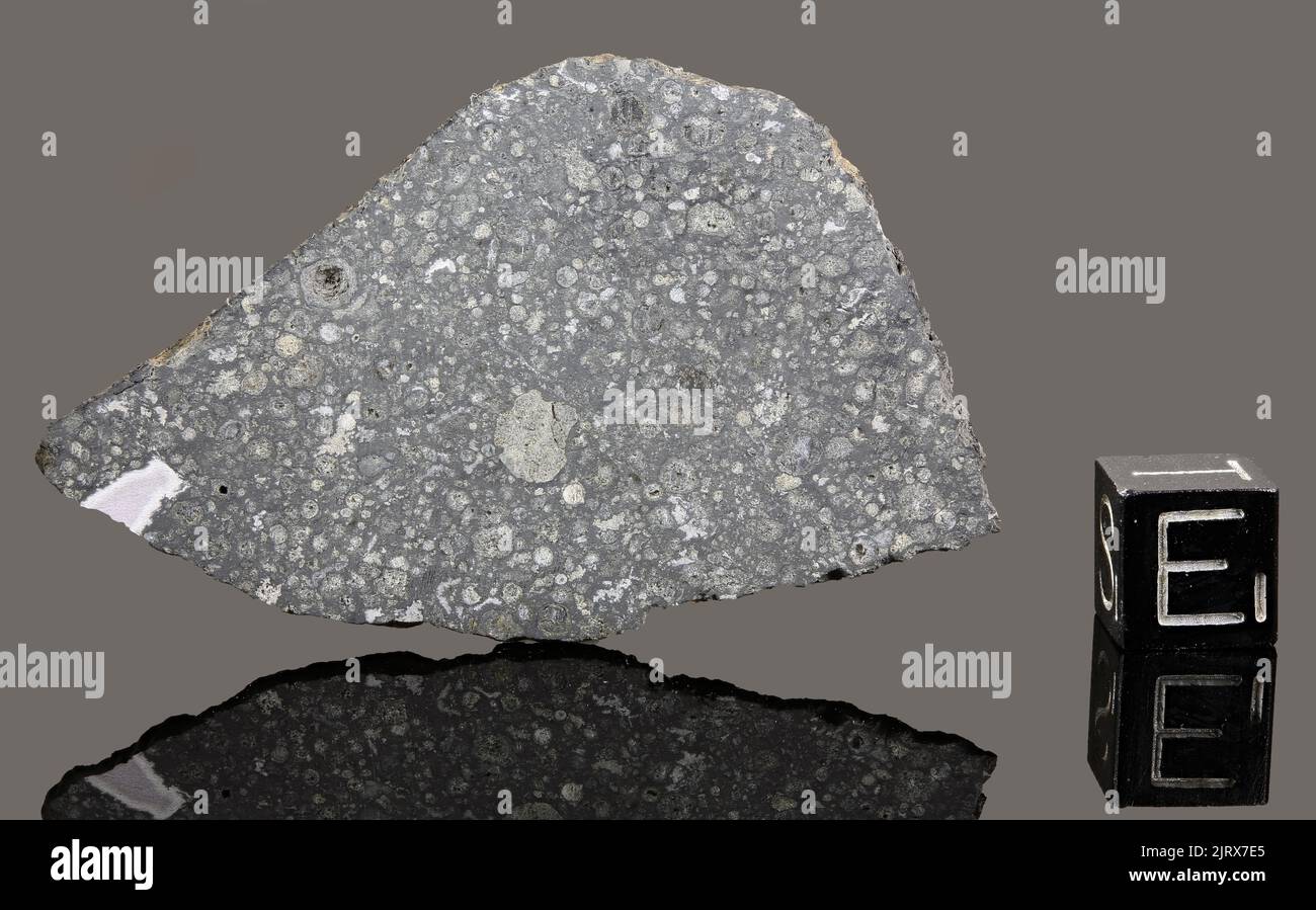 ALLENDE - Automne 8 février 1969, Chihuahua, Mexique. Chondrite carbonée CV3. Masse totale de 2 tonnes. Banque D'Images ALLENDE - Automne 8 février 1969, Chihuahua, Mexique. Chondrite carbonée CV3. Masse totale de 2 tonnes. Banque D'Images