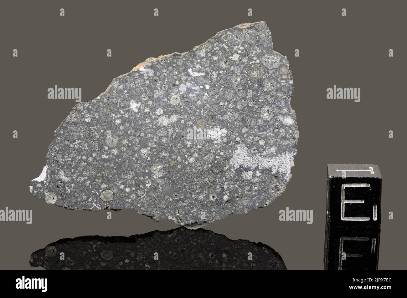 ALLENDE - Automne 8 février 1969, Chihuahua, Mexique. Chondrite carbonée CV3. Masse totale de 2 tonnes. Banque D'Images ALLENDE - Automne 8 février 1969, Chihuahua, Mexique. Chondrite carbonée CV3. Masse totale de 2 tonnes. Banque D'Images
