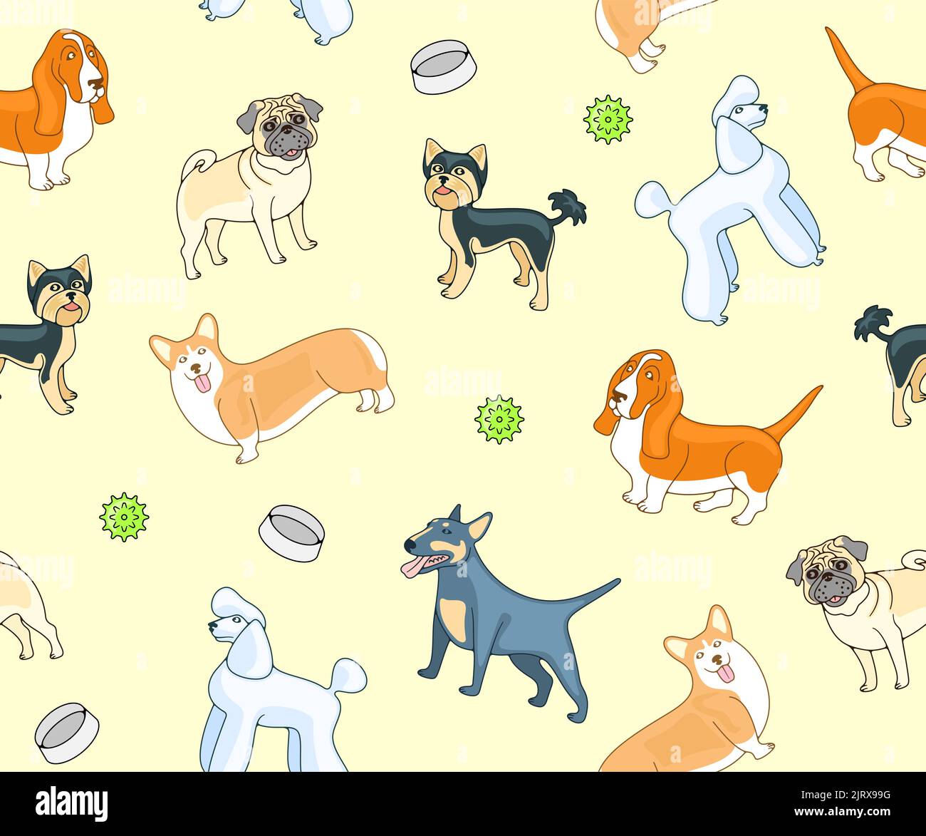 Chiens, races de chiens, caniche, pug et terrier du yorkshire, fond vectoriel sans couture, motif. Animaux, animaux de compagnie, chien de basset, corgi gallois et taureau miniature Illustration de Vecteur