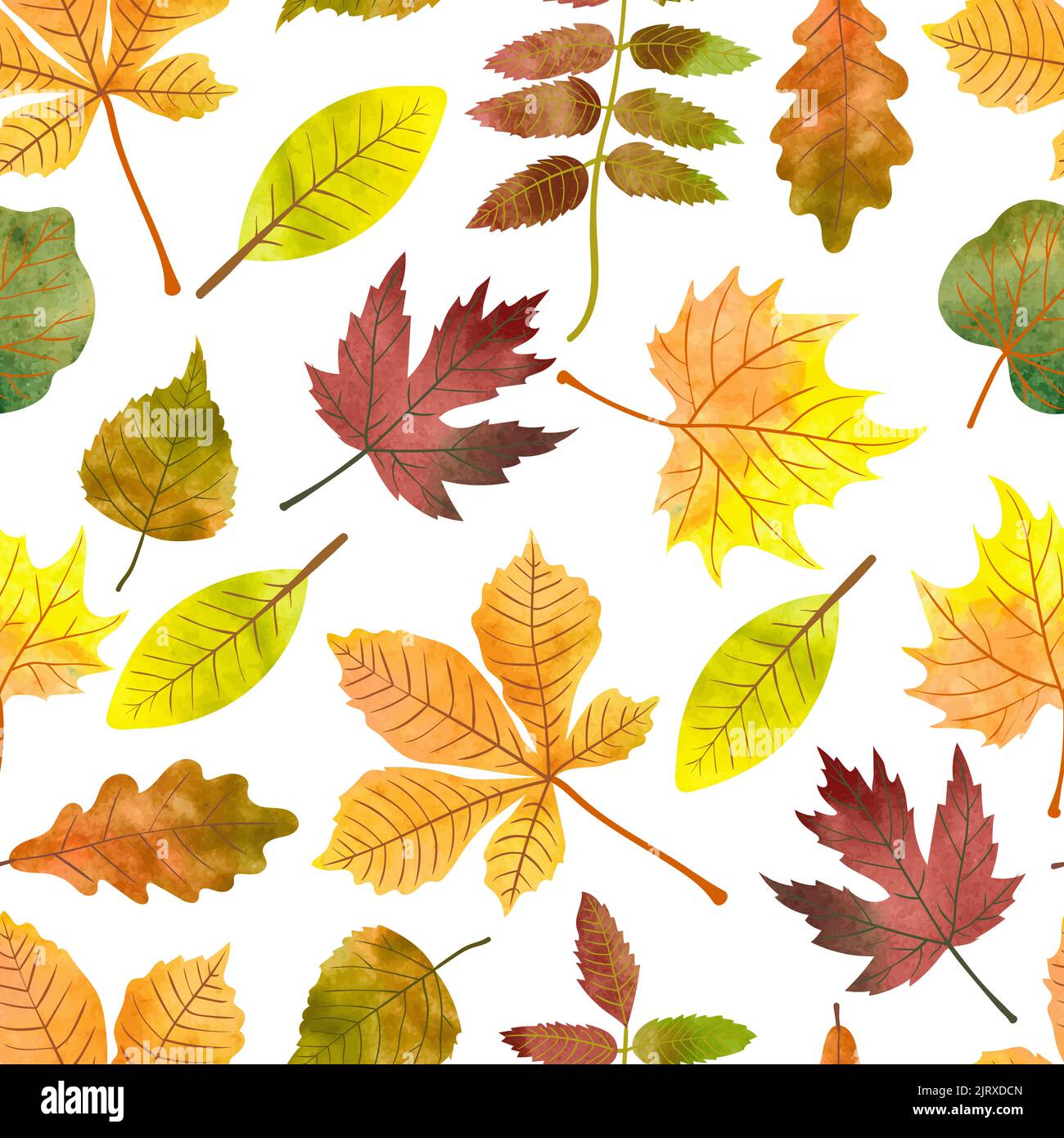 L'automne aquarelle laisse un motif sans couture. Vecteur coloré toile de fond d'automne avec érable, châtaignier, rowan, feuilles de peuplier Illustration de Vecteur