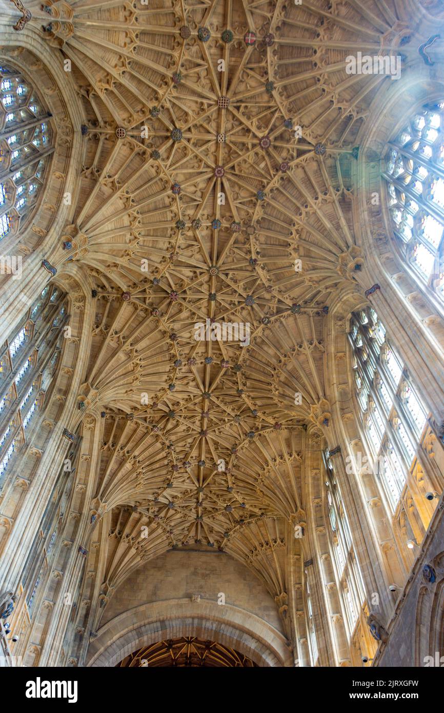 Plafond voûté de la nef dans l'abbaye de Sherborne (église de l'abbaye de Sainte-Marie la Vierge), église fermée, Sherborne, Dorset, Angleterre, Royaume-Uni Banque D'Images