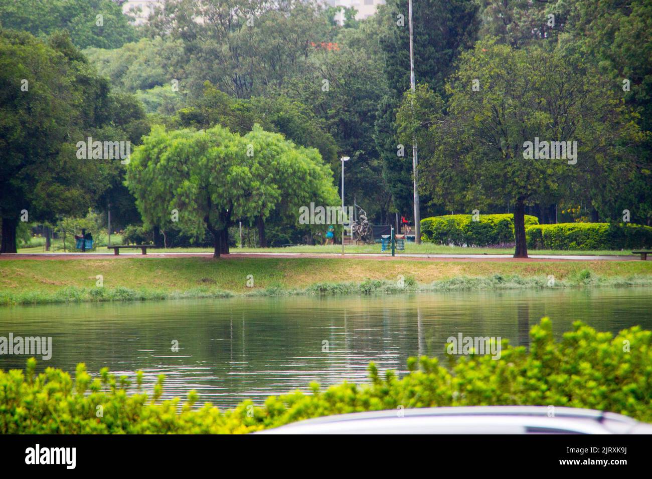 Parc Ibirapuera dans la ville de São Paulo, Brésil -16 février 2019: Parc Ibirapuera à São Paulo, Brésil, par une journée nuageux. Banque D'Images