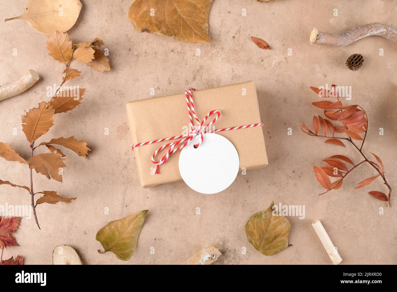 Arrière-plan d'automne : feuilles mortes, plantes sèches avec cadeaux faits à la main enveloppés dans du papier artisanal et corde avec maquette d'étiquette cadeau sur fond beige naturel. THA Banque D'Images