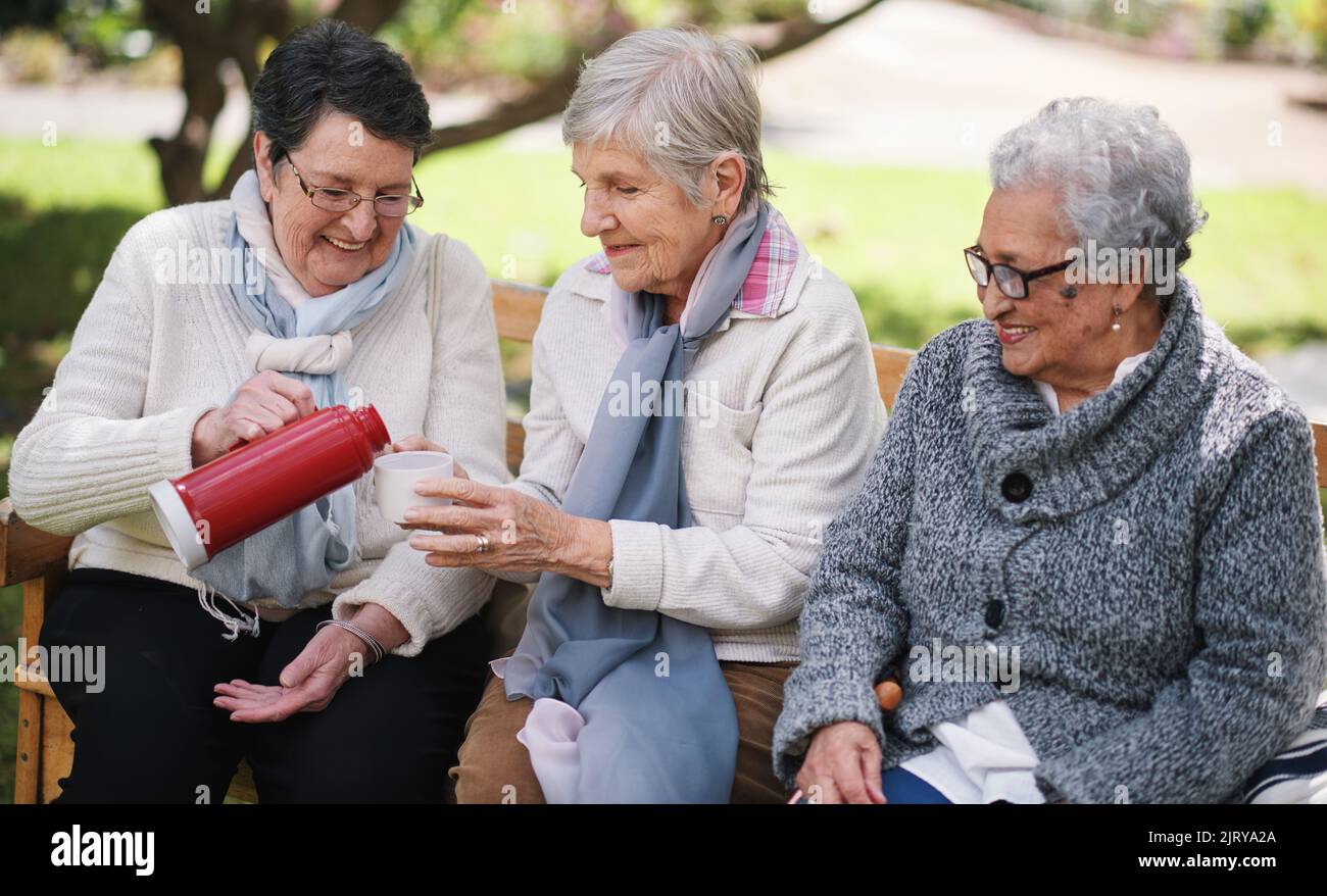 De vieilles femmes heureuses assises sur le banc dans le parc de thé drinkign appréciant la retraite ensemble Banque D'Images
