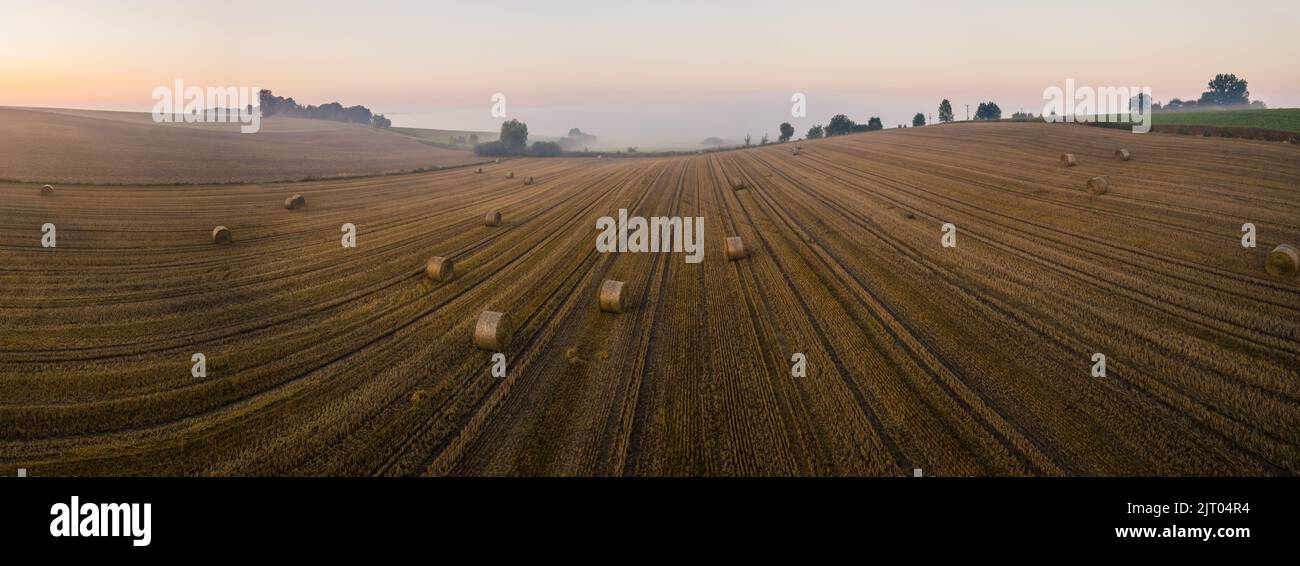 Panorama du champ de ferme doré avec des balles de foin. Paysage brumeux du matin avec ciel orange et arbres à l'horizon. Saison de récolte. Prise de vue horizontale large. Photo de haute qualité Banque D'Images