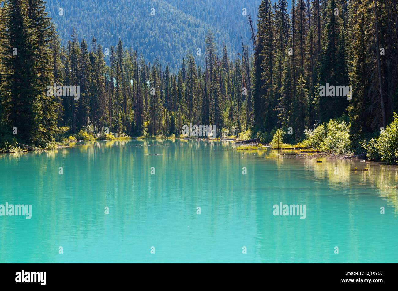 Lac Emerald avec eaux turquoise, parc national Yoho, Alberta, Canada. Banque D'Images