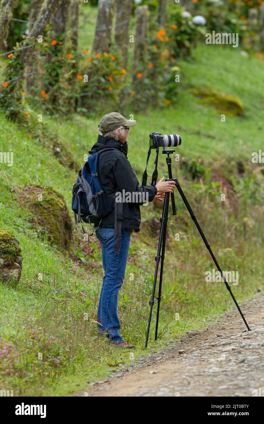 Une photographe amateur prend des photos d'oiseaux dans la forêt tropicale du Costa Rica. Banque D'Images