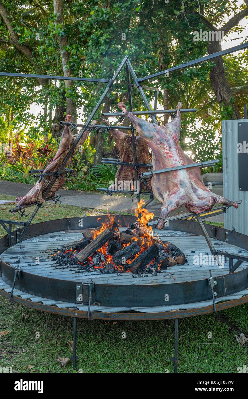 Une broche de rôtissage élaborée au premier plan barbecurant trois agneaux succulents sur une fosse circulaire en acier au feu lors d'un festival à Port Douglas, en Australie. Banque D'Images