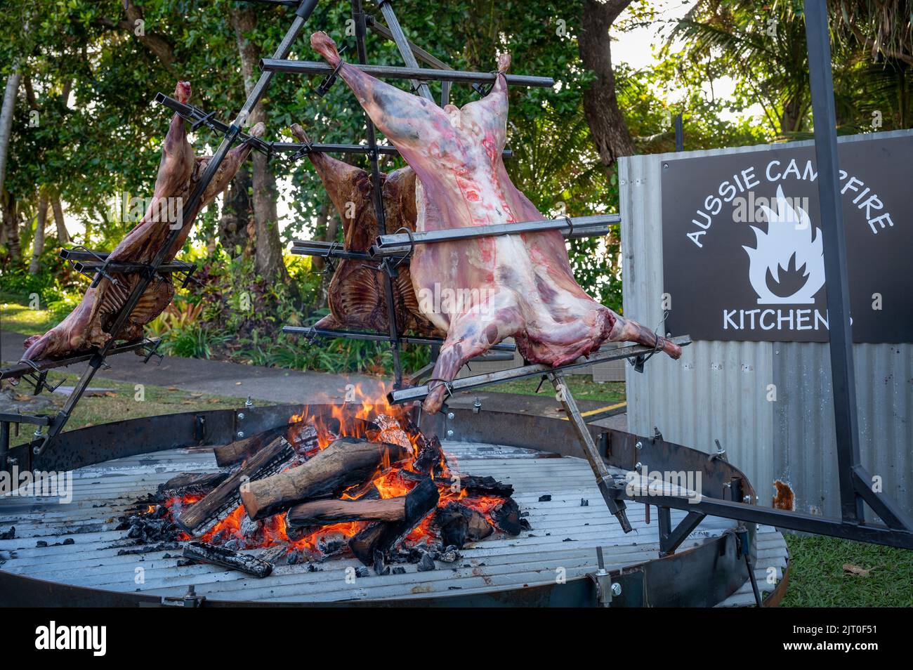 Une broche de rôtissage élaborée au premier plan barbecurant trois agneaux succulents sur une fosse circulaire en acier au feu lors d'un festival à Port Douglas, en Australie. Banque D'Images