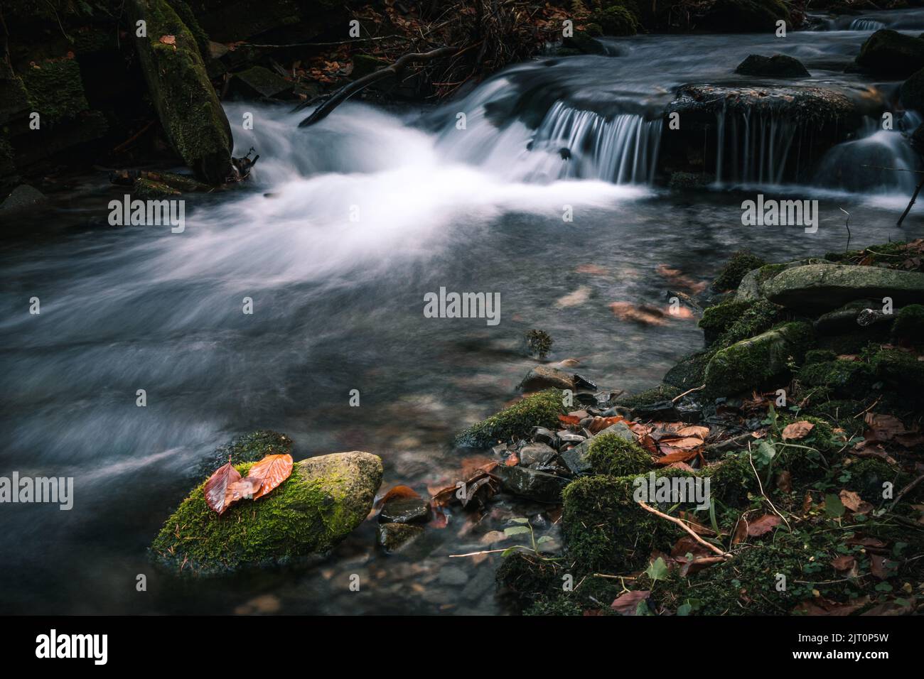 L'eau qui coule dans le lit du fleuve Kytserov à travers les rochers crée de petites cascades autour des berges, qui sont couvertes de feuilles d'automne colorées. Auto Banque D'Images