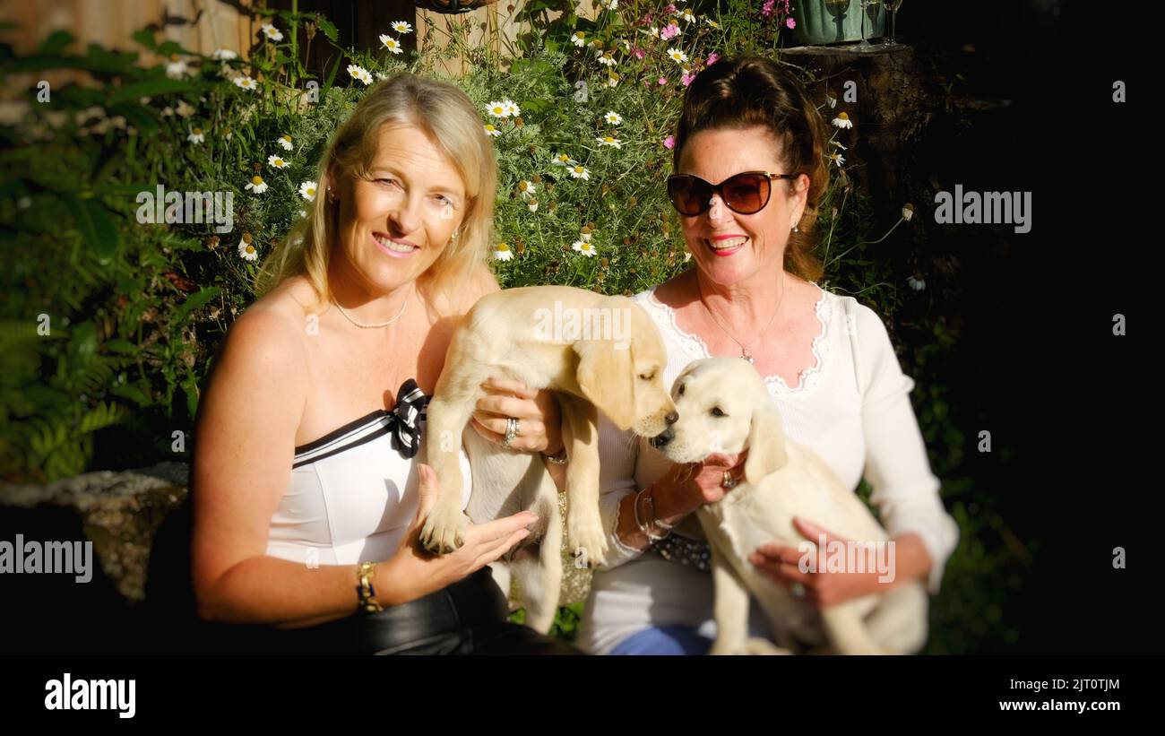 Deux femelles attirantes tenant une paire de chiots du labrador - John Gollop Banque D'Images