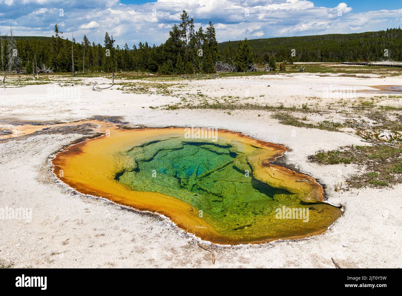 West Geyser dans le bassin Biscuit de Yellowstone, parc national de Yellowstone, Wyoming, États-Unis Banque D'Images