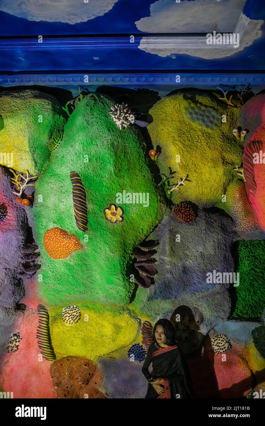 Dhaka, Bangladesh. 22nd août 2022. Un visiteur vu au Radiant Fish World à Cox's Bazar, au Bangladesh. Radiant Fish World le Bangladesh a offert l'occasion de visiter le premier aquarium de poissons standard international. Radiant Fish World est un aquarium et une salle d'exposition de poissons situés à Cox's Bazar. Le complexe de l'aquarium compte environ 100 types de poissons d'océan et d'eau douce. (Image de crédit : © Sazzad Hossain/SOPA Images via ZUMA Press Wire) Banque D'Images