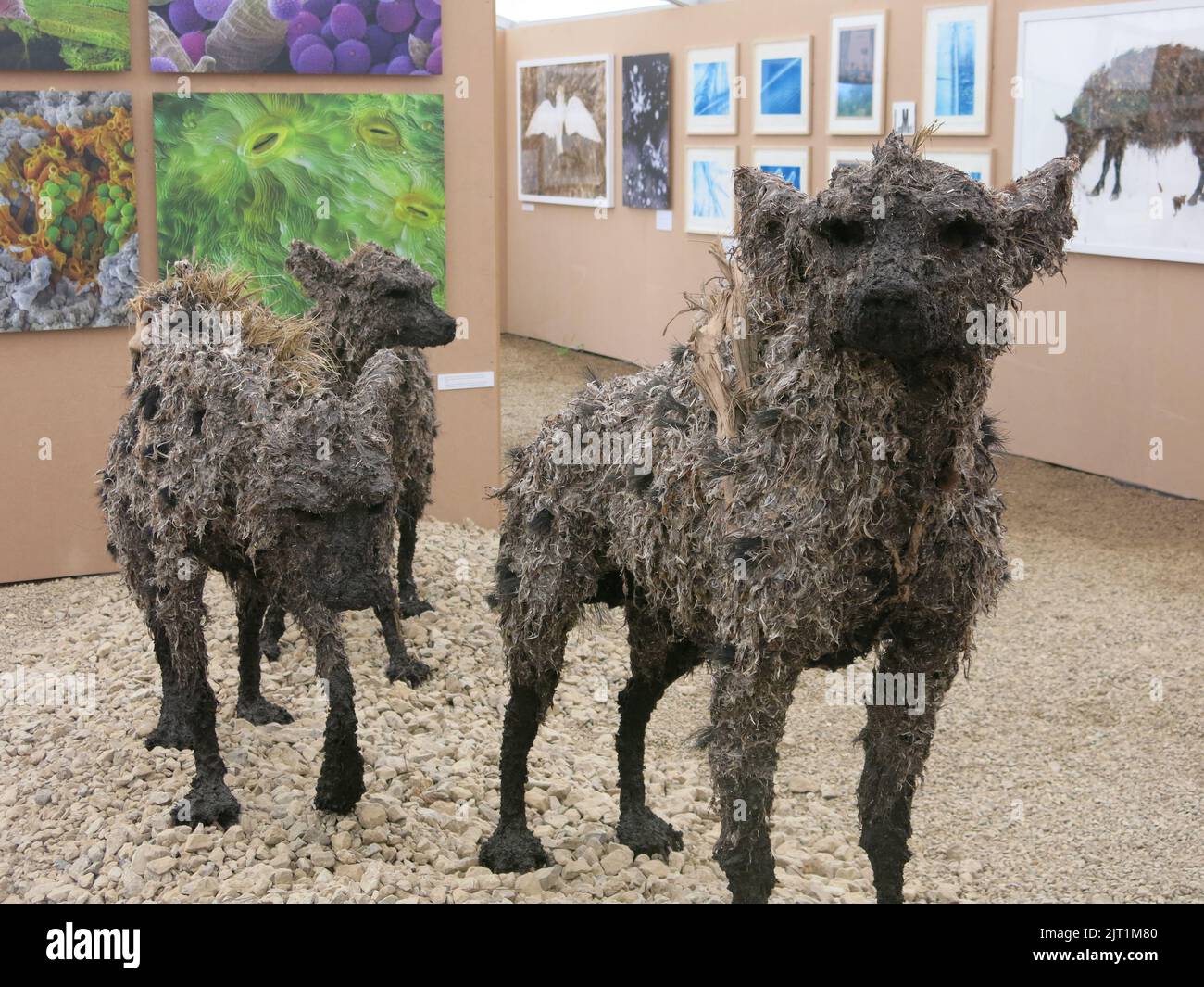 Des modèles de caverne hyena dans une exposition au Centre national de pierre; os des animaux ont été trouvés à la carrière de Hoe Grange datant de l'âge de glace. Banque D'Images
