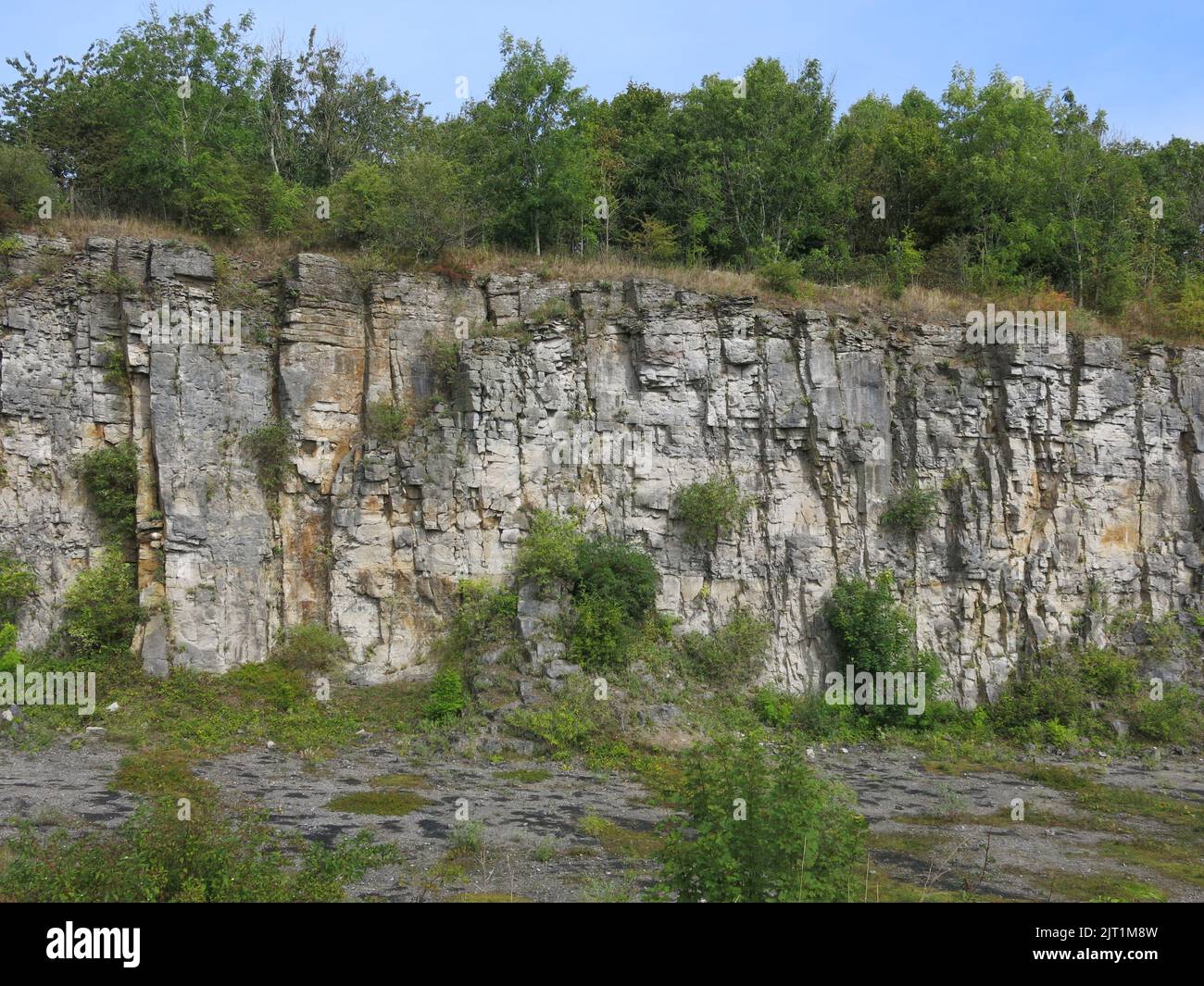 Située dans d'anciennes carrières de calcaire en bordure du Peak District, la surface de la carrière est clairement visible avec ses âges géologiques de formations rocheuses. Banque D'Images