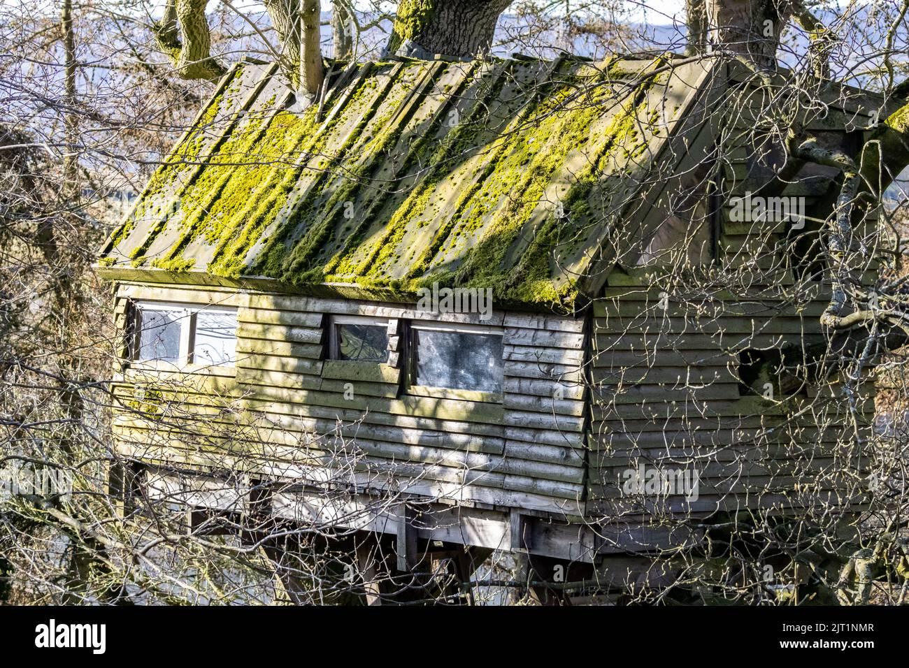Impressionnante grande maison en bois avec fenêtres en verre, Yorkshire, Angleterre, Royaume-Uni Banque D'Images