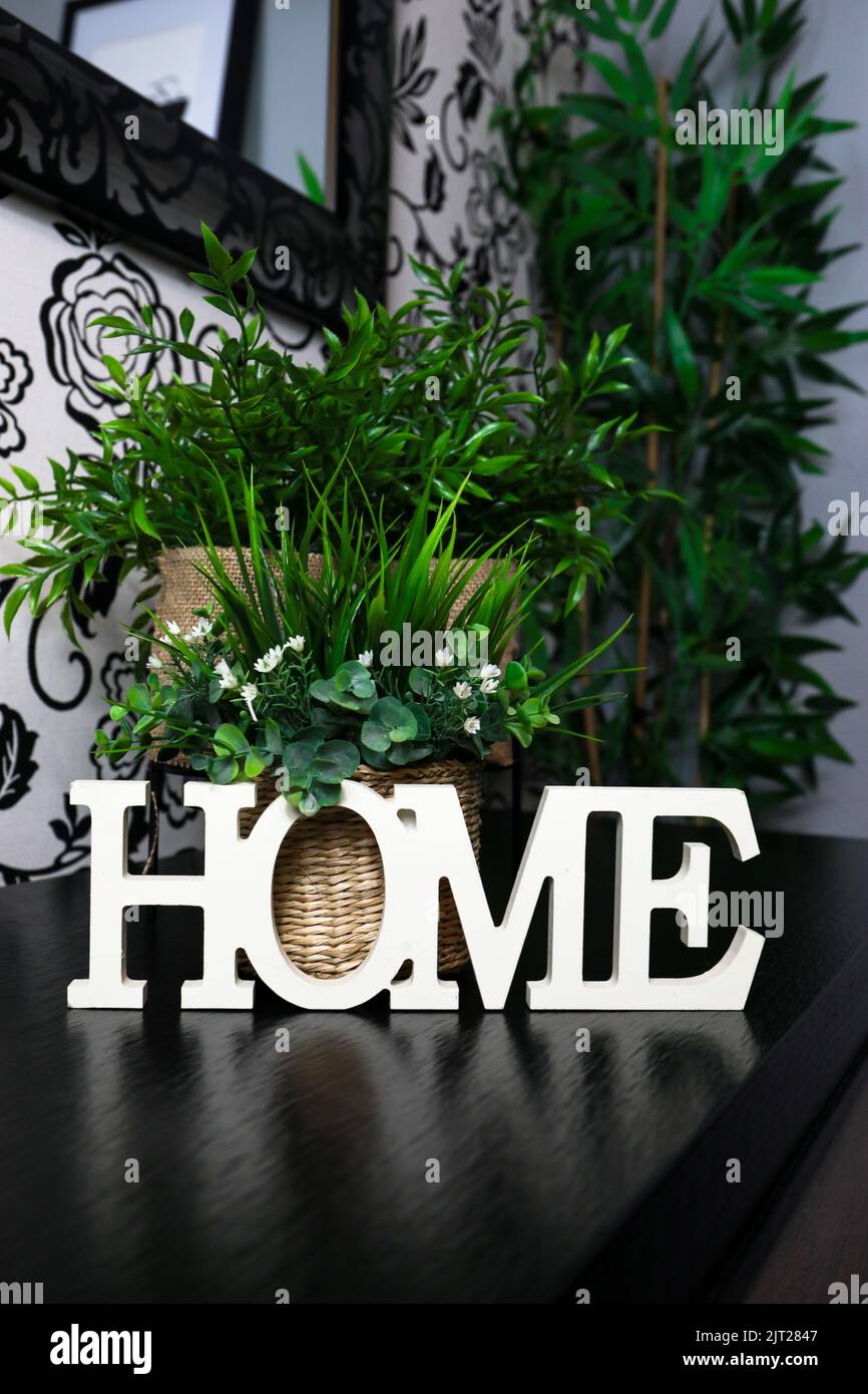 Un cliché vertical d'une décoration en bois avec le mot HOME placé sur une étagère à côté des plantes Banque D'Images
