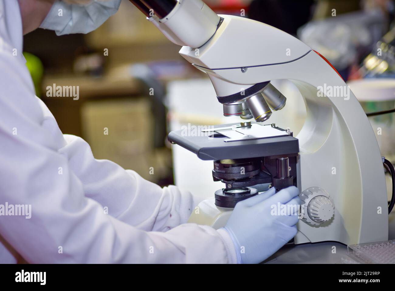 Belle femme examine la culture cellulaire sous microscope Banque D'Images
