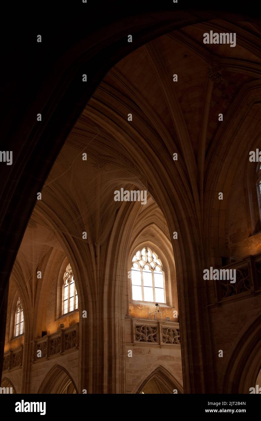 Voûté, cépage voûté au-dessus de l'allée latérale, Monastère royal de Brou, Brou, Bourg-en-Bresse, Rhône-Alpes, France. Arches gothiques au-dessus de l'allée latérale. Banque D'Images