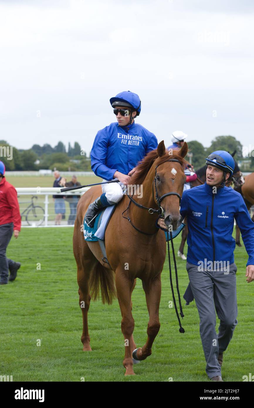 Jockey William Buick sur Echo point aux courses de York. Banque D'Images